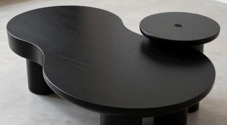 Top 5 Black Bear Coffee Tables